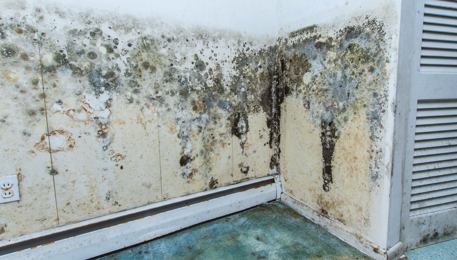 Mold-Damager-Odor-Control in Raleigh