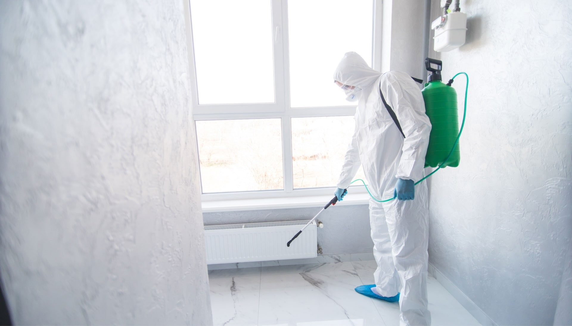 Mold-Inspection in Raleigh